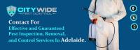 City Wide Pest Control Adelaide image 3
